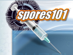 Spores101