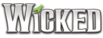 Wicked the Musical Store s
