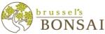 Brussel's Bonsai